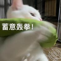 昆明解决需求0