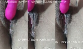 玩具插老婆1