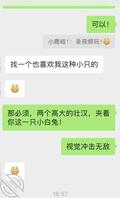 极品娇小女友征大屌一起3p，廊坊1